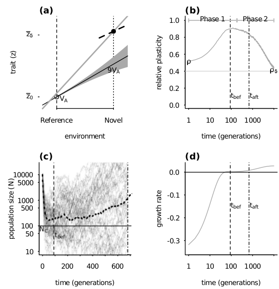 Two-phase adaptation and metrics for extinction avoidance and persistence.